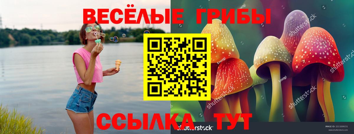 Галлюциногенные грибы Cubensis  Вход с VPN  Губкинский 